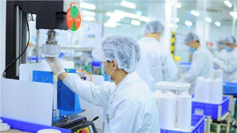 嘉定區危廢處置合同技術服務 專業、安全、高效——歡迎咨詢錦梅供應信息技術咨詢服務