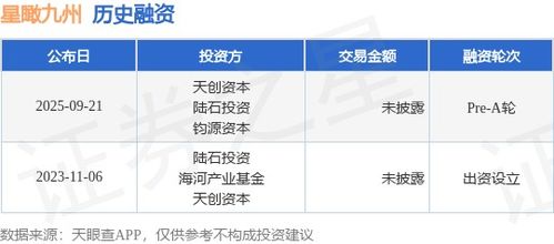 星瞰九州完成Pre-A輪融資，天創資本與陸石投資領投，加速信息技術咨詢業務發展