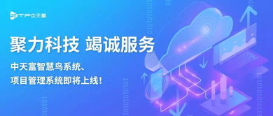 聚力科技攜手智慧鳥系統(tǒng) 項目管理系統(tǒng)即將上線，引領(lǐng)信息技術(shù)咨詢服務新篇章